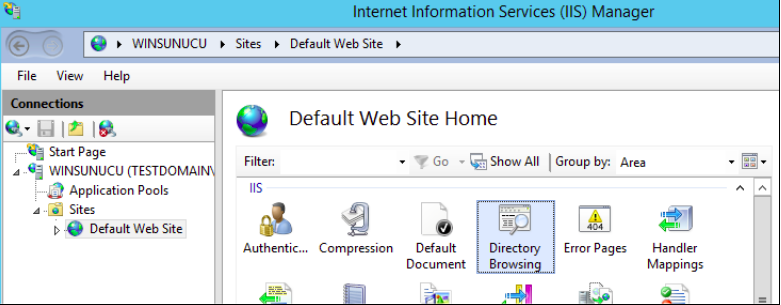 IIS