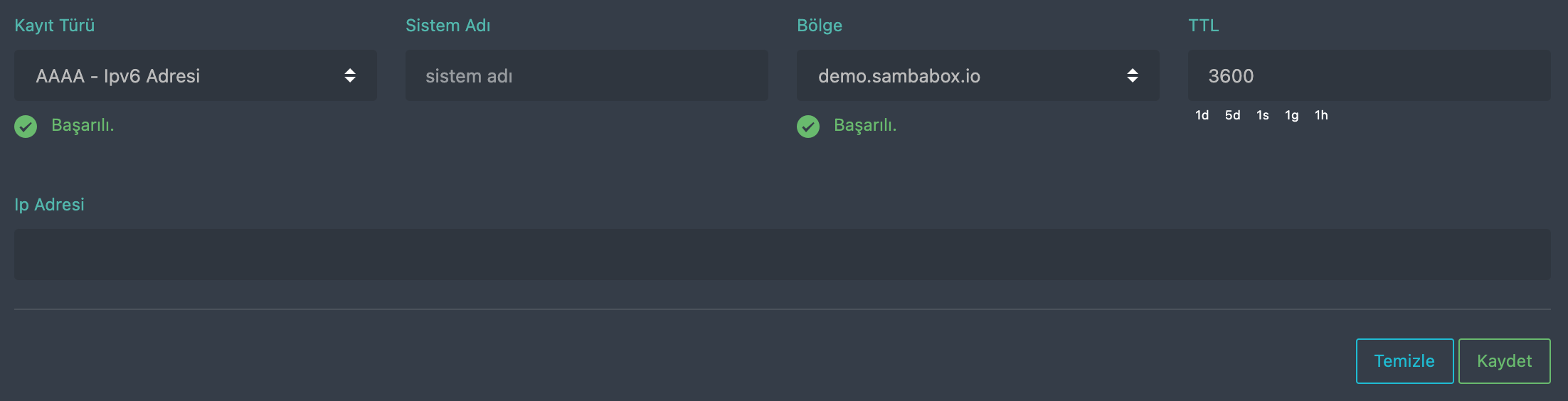 DNS AAAA kaydı
