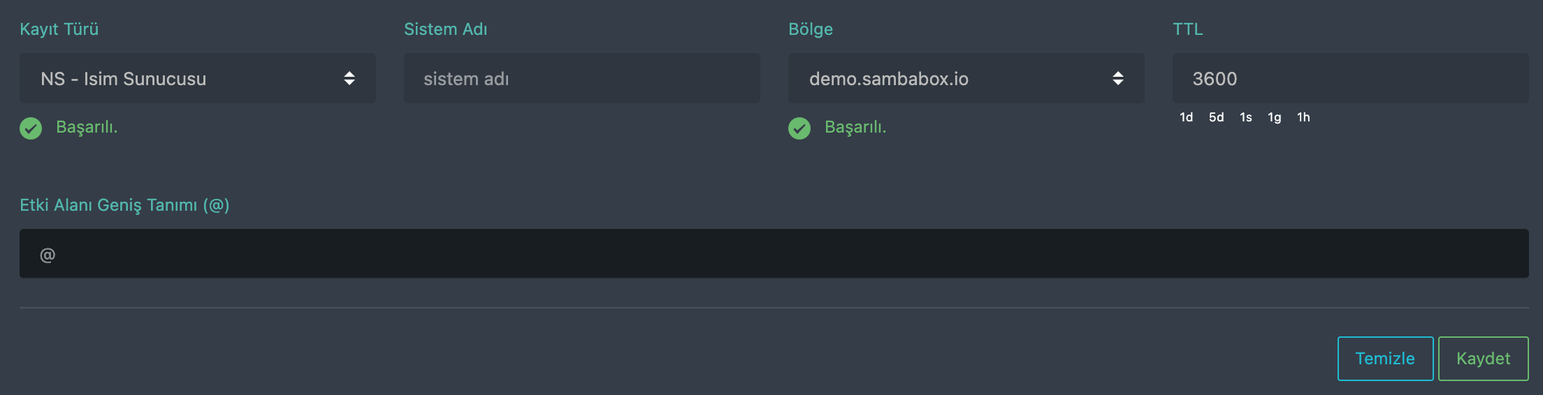 DNS NS kaydı