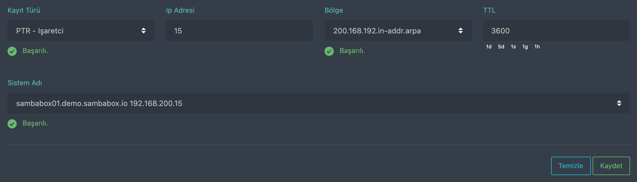 DNS PTR kaydı