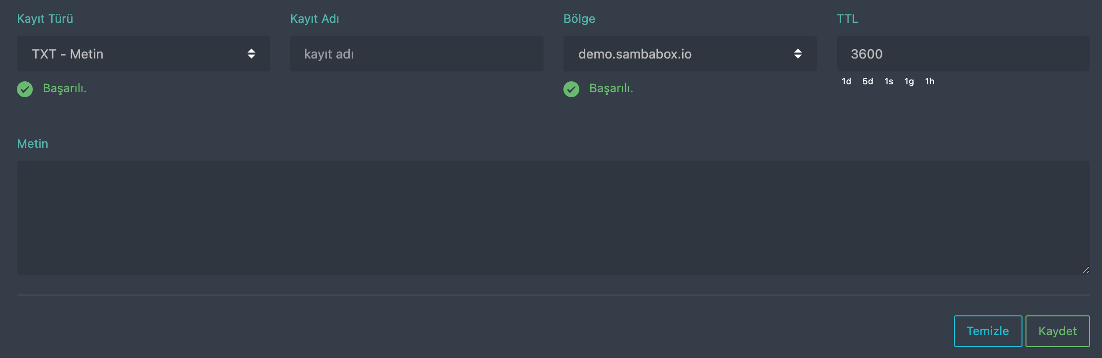 DNS TXT kaydı